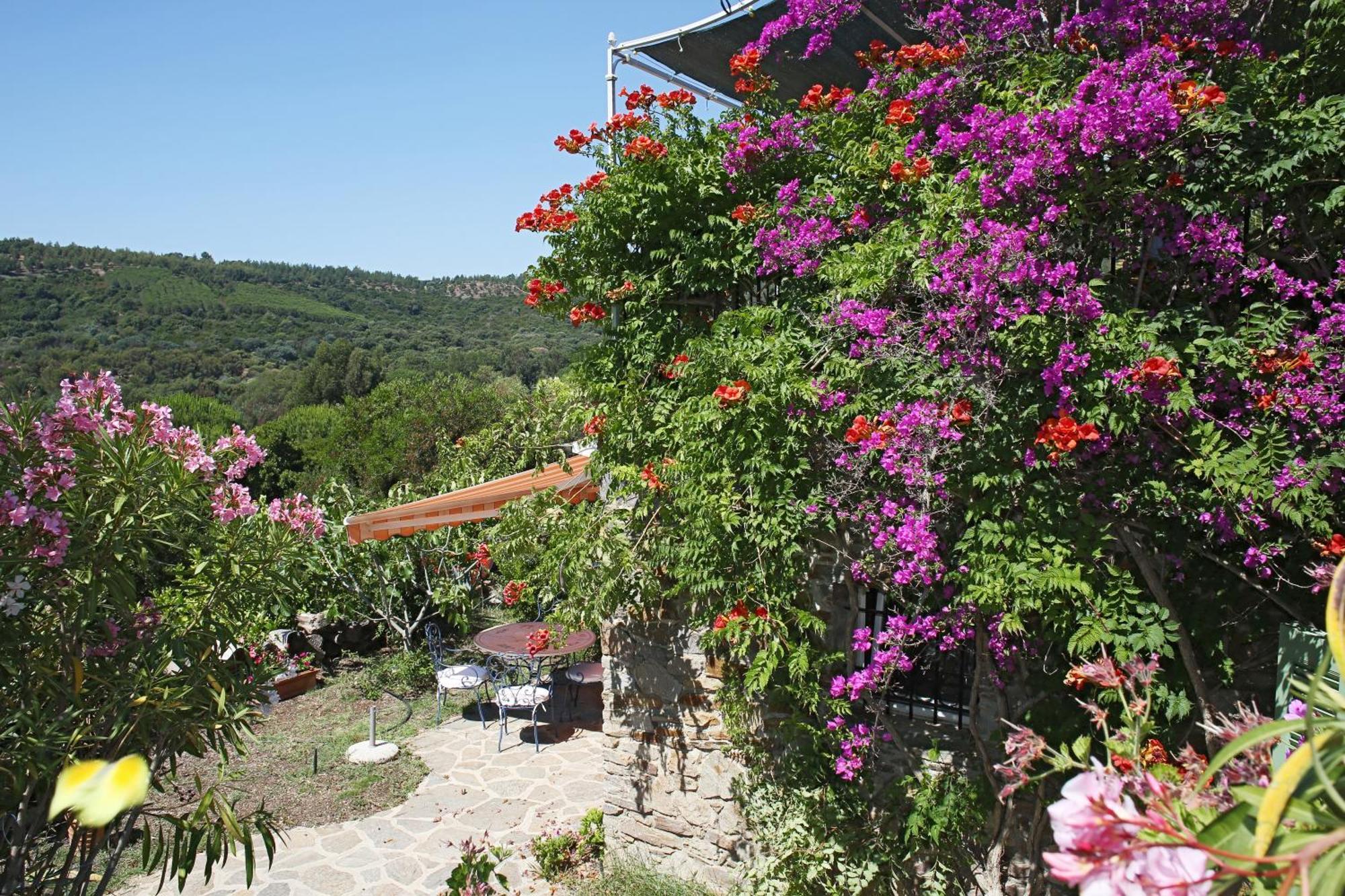 Villa Carpe Diem Le Lavandou Exterior photo